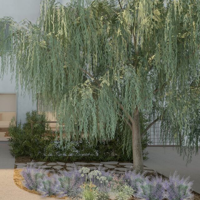 DOH•Urban garden

#architecture #interiordesign #2storey #windows #garden #urbangarden #livingroom #living #dining #house #fluoproject #athens #chalandri